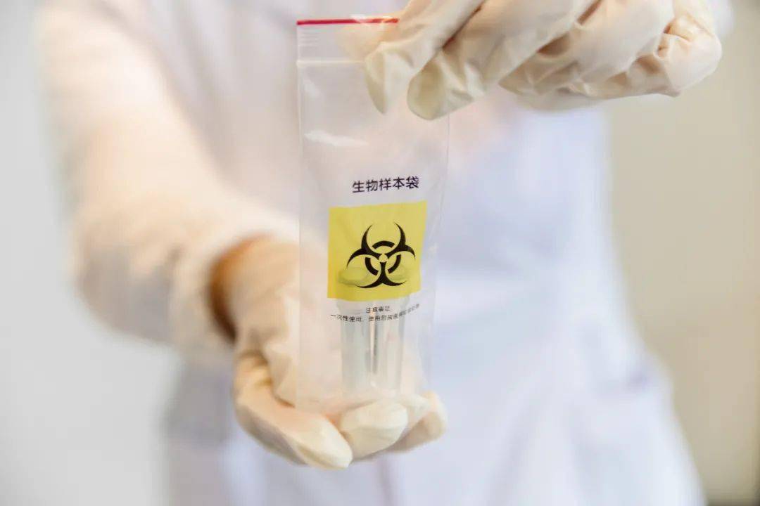 游戏专题 第69页