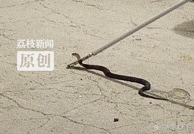 热点生活 第57页